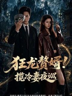 狂龙赘婿！揽冷妻夜巡
