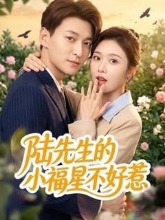 《陆先生的小福星不好惹》