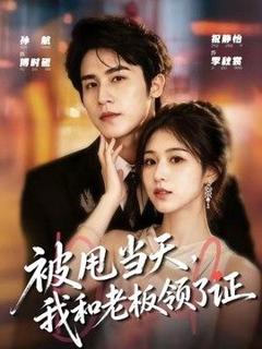 《被甩当天，我和老板领了证》