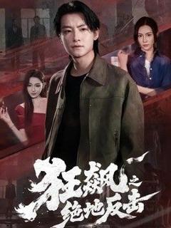 《狂飙之绝地反击》