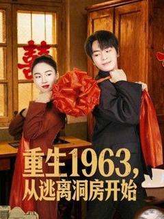 《重生1963！从逃离洞房开始》