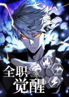 《全职觉醒》