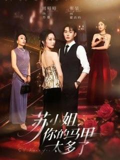 《苏小姐，你的马甲太多了》
