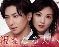 《致亲爱的丈夫 完美妻子的谎言》