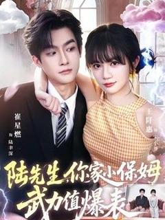 《陆先生，你家小保姆武力值爆表》